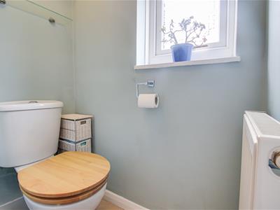 Picture 17